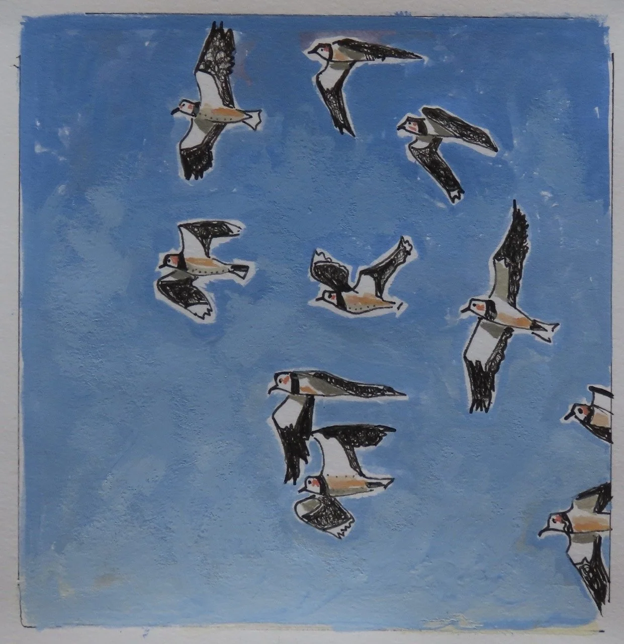 Daróg_Sacha Hutchinson_03 Large.jpeg