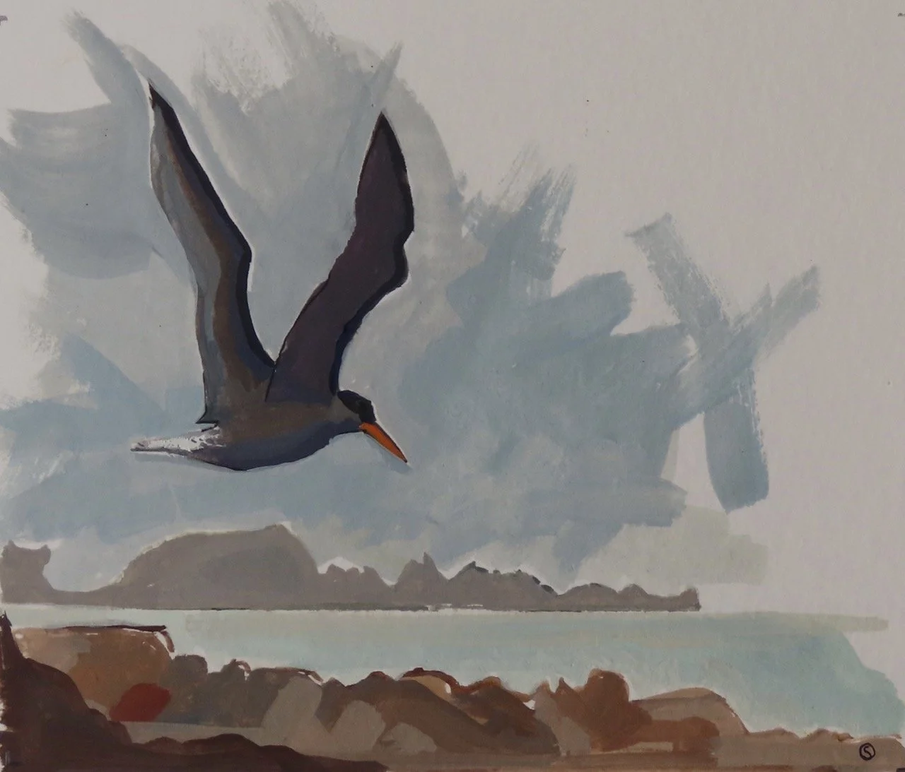 Daróg_Sacha Hutchinson_20 Large.jpeg