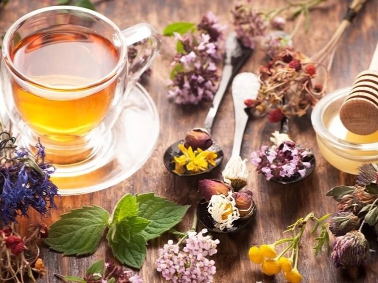 cup of tea surrounded by herbs