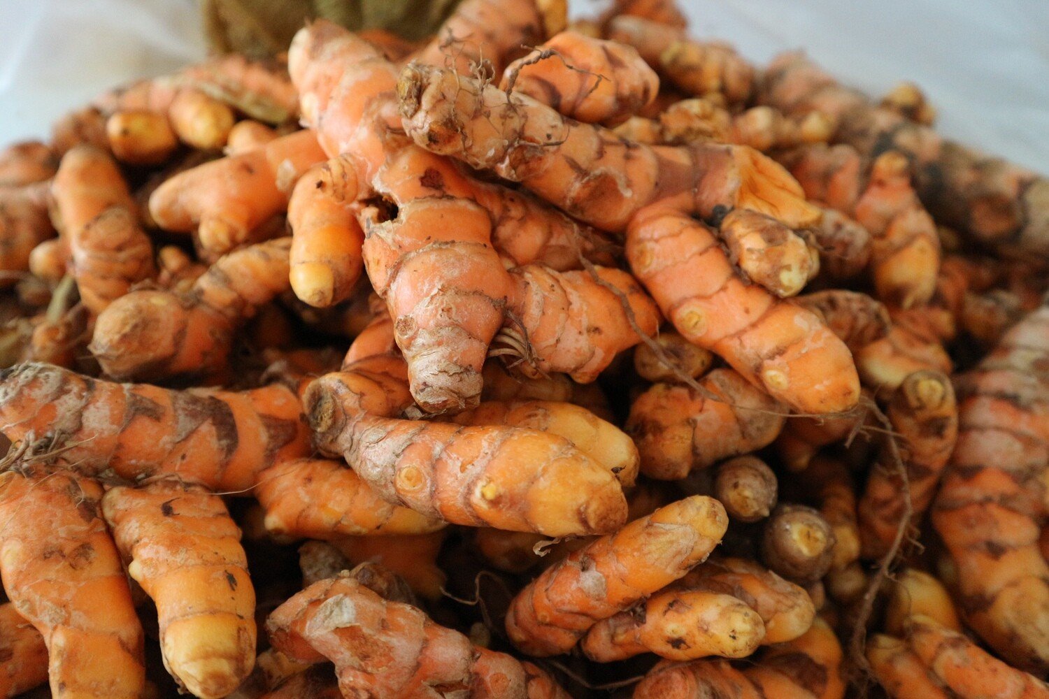 Tumeric1.jpg