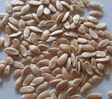 Cucumber-Seeds-4.jpg