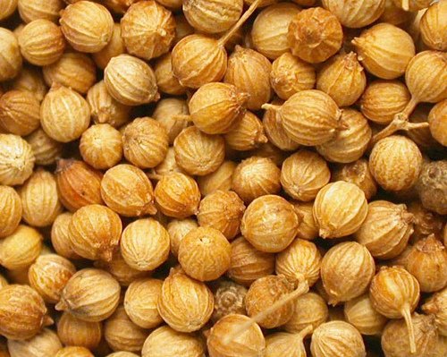 Coriander Seed3.jpg