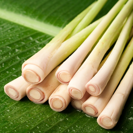 Ginger-Grass-2Essential-Oil.png