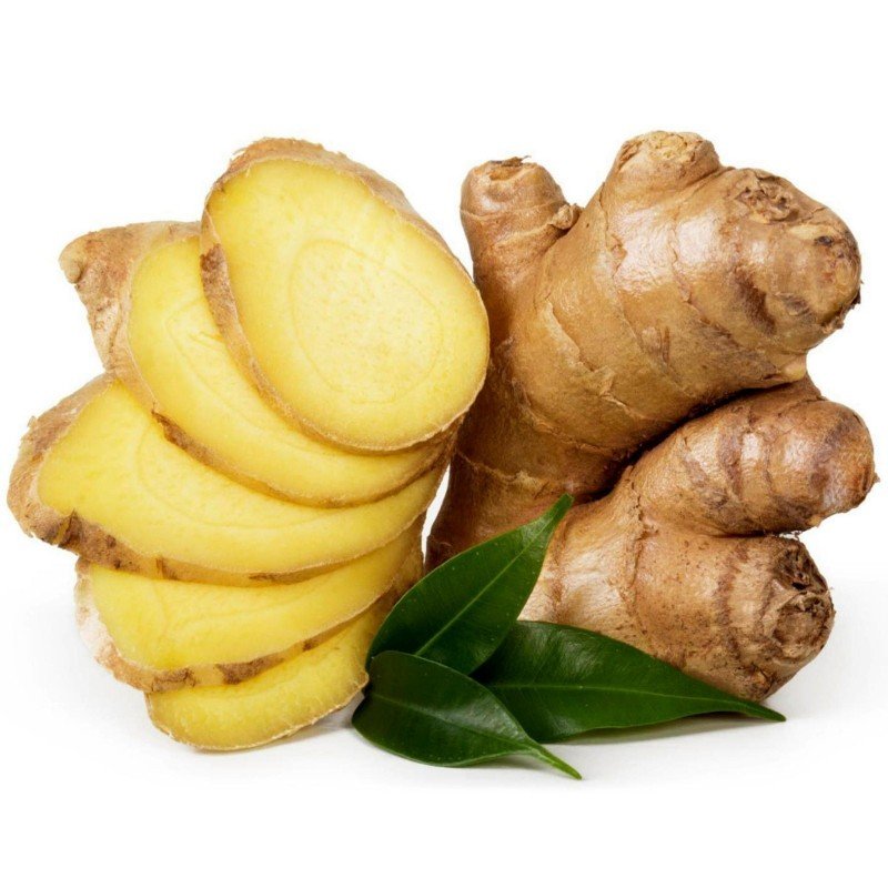 ginger1-seeds-zingiber-officinale.jpg