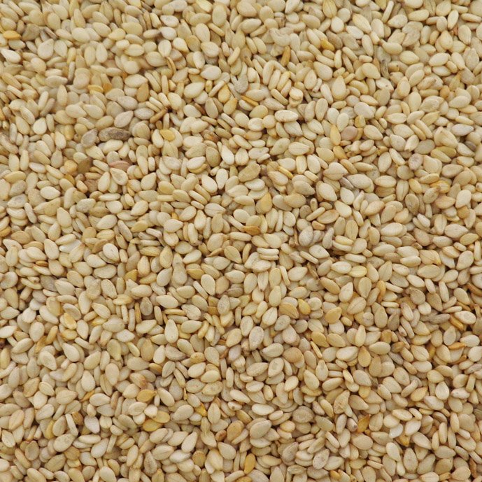 sesameseed4a.jpg