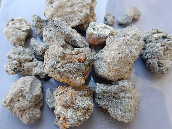 palosanto2a.jpg