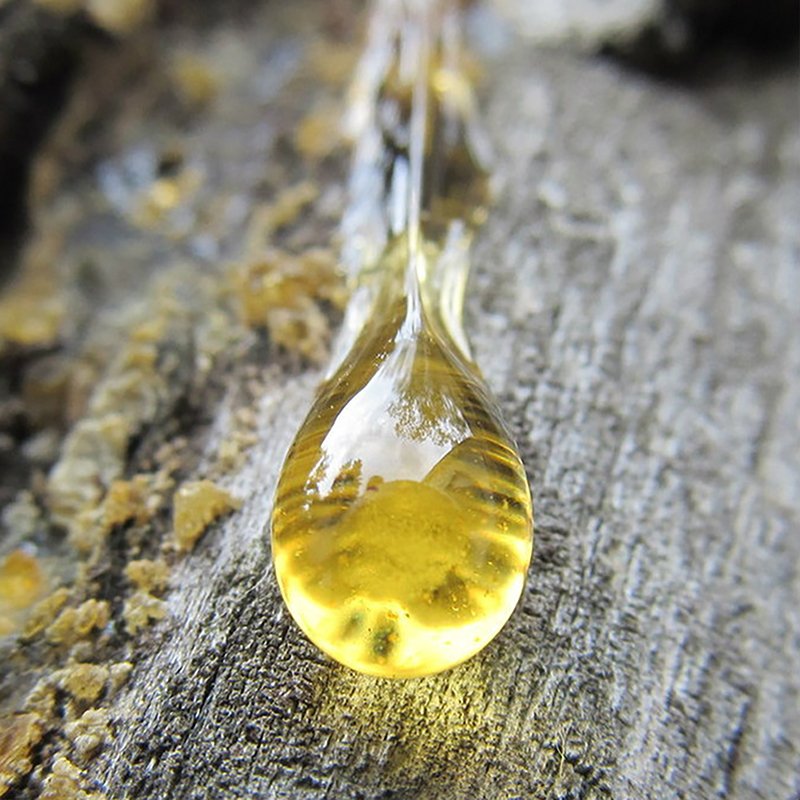 palosanto1a.jpg