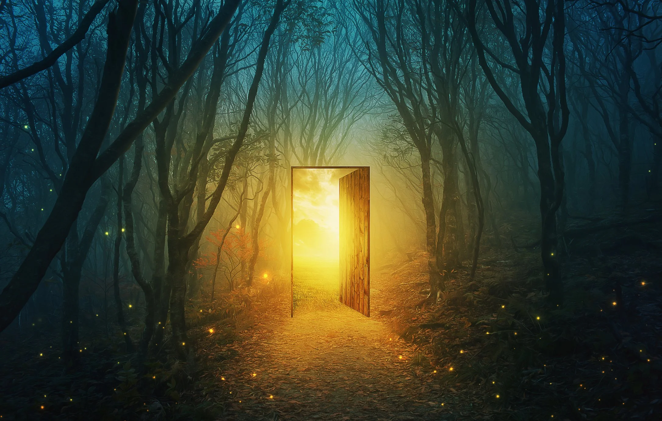 magic forest door sun lite opening