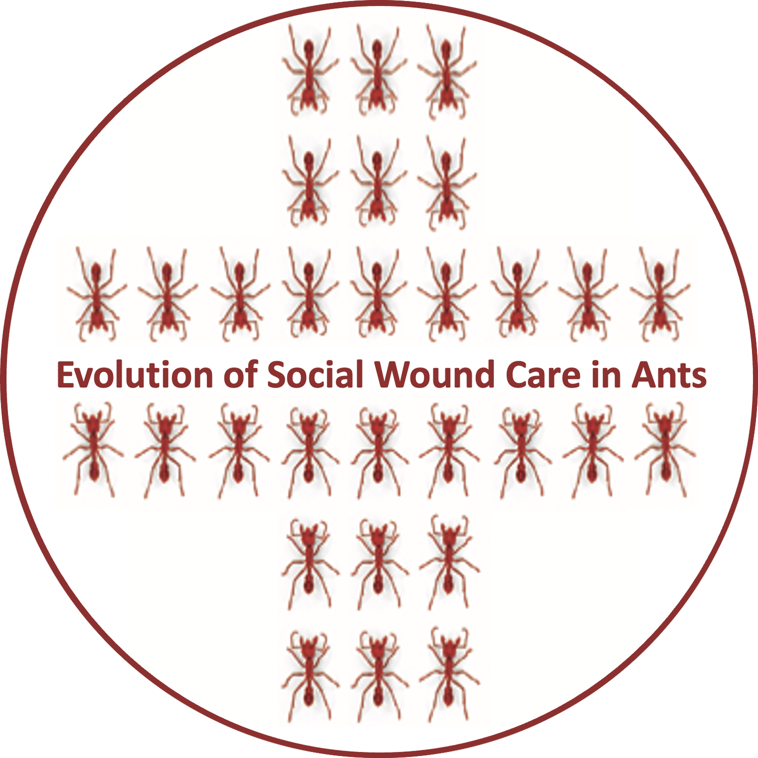Social Wound Care Evolution