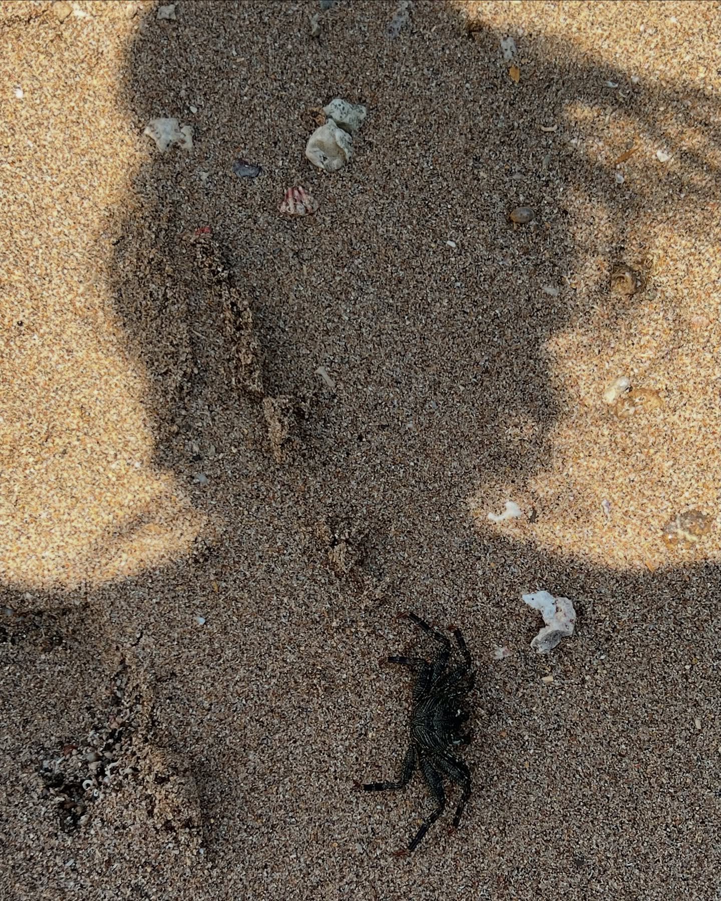 &bdquo;Beneath the surface of the protective parts of trauma survivors there exists an undamaged essence, a Self that is confident, curious, and calm, a Self that has been sheltered from destruction by the various protectors that have emerged in thei