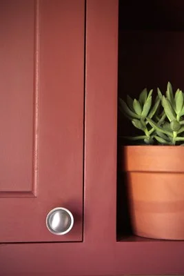 plant.jpg
