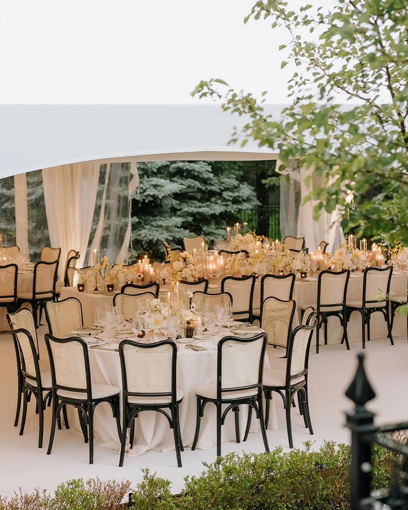 Embedded in a canopy of love and golden blooms, a new forever begins. #DuetEvents⁣
⁣
📸 @bsimkova