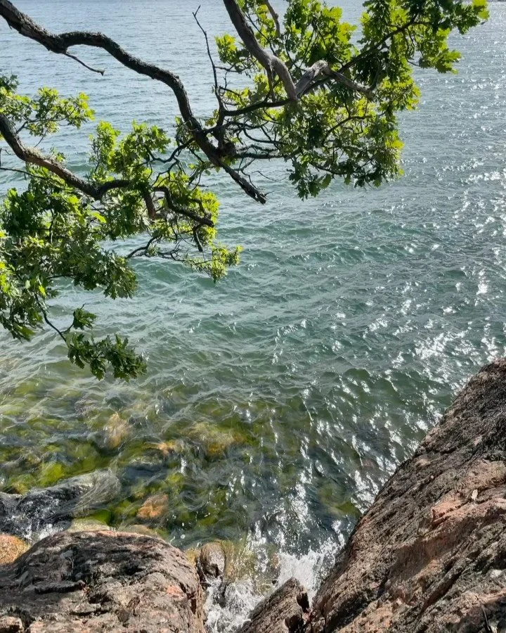 self healing summer ~ this week🤎🌿

🌞 medicinsk yoga i parken ~ torsdag 18-19:30

🌞 healing with nature ~ l&ouml;rdag 14-18

🌞 medicinsk yoga online ~ s&ouml;ndag 17-17:30

l&auml;s mer p&aring; njutavnuet.se 🧡