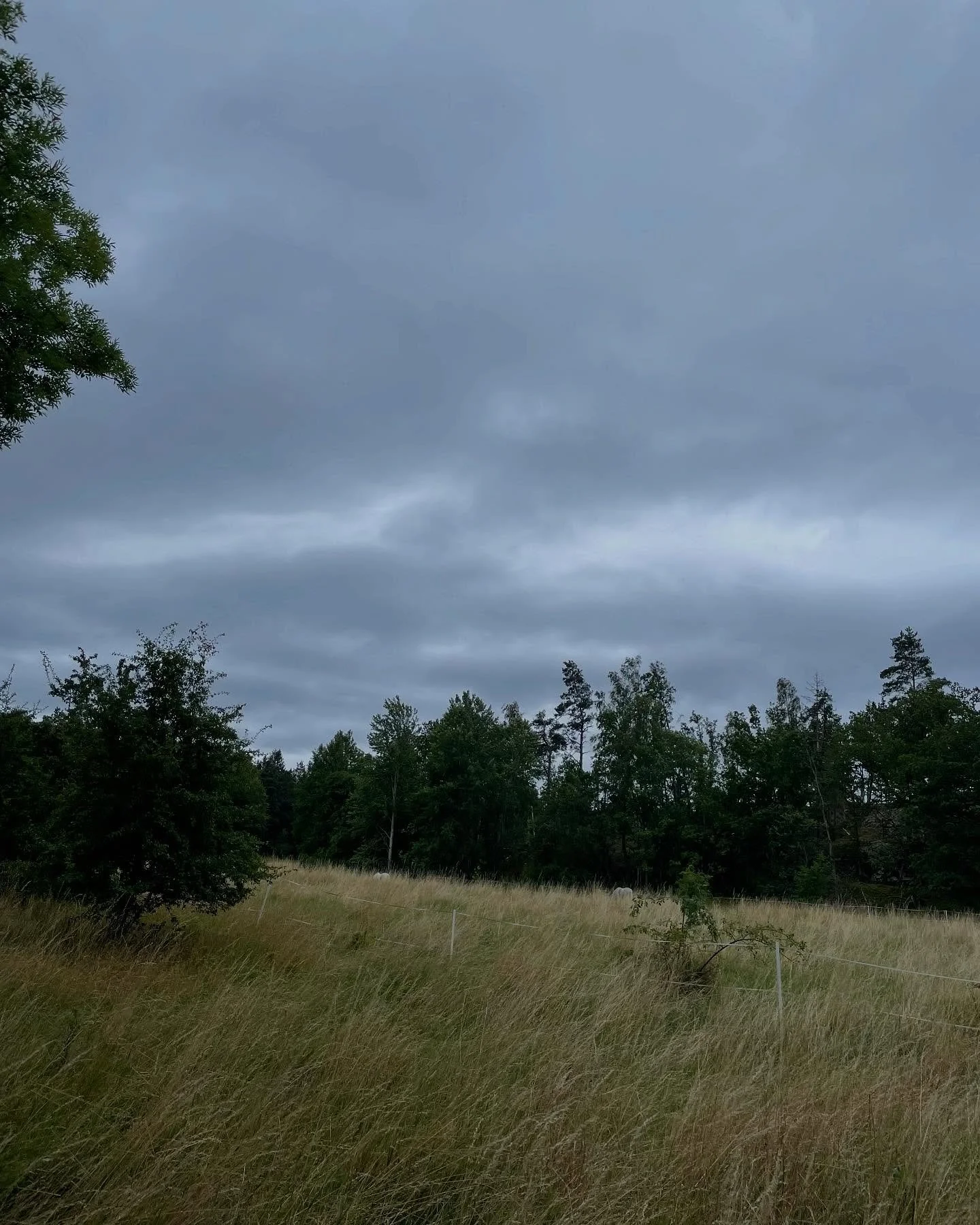 healing with nature🤎

g&aring;rdagens stund i naturen var bl&aring;sig &amp; magisk. att ta tiden att checka in, landa, vara &amp; komma hem till sig sj&auml;lv kan f&ouml;r&auml;ndra allt. att promenera, att krama ett tr&auml;d, att f&aring; fr&ari