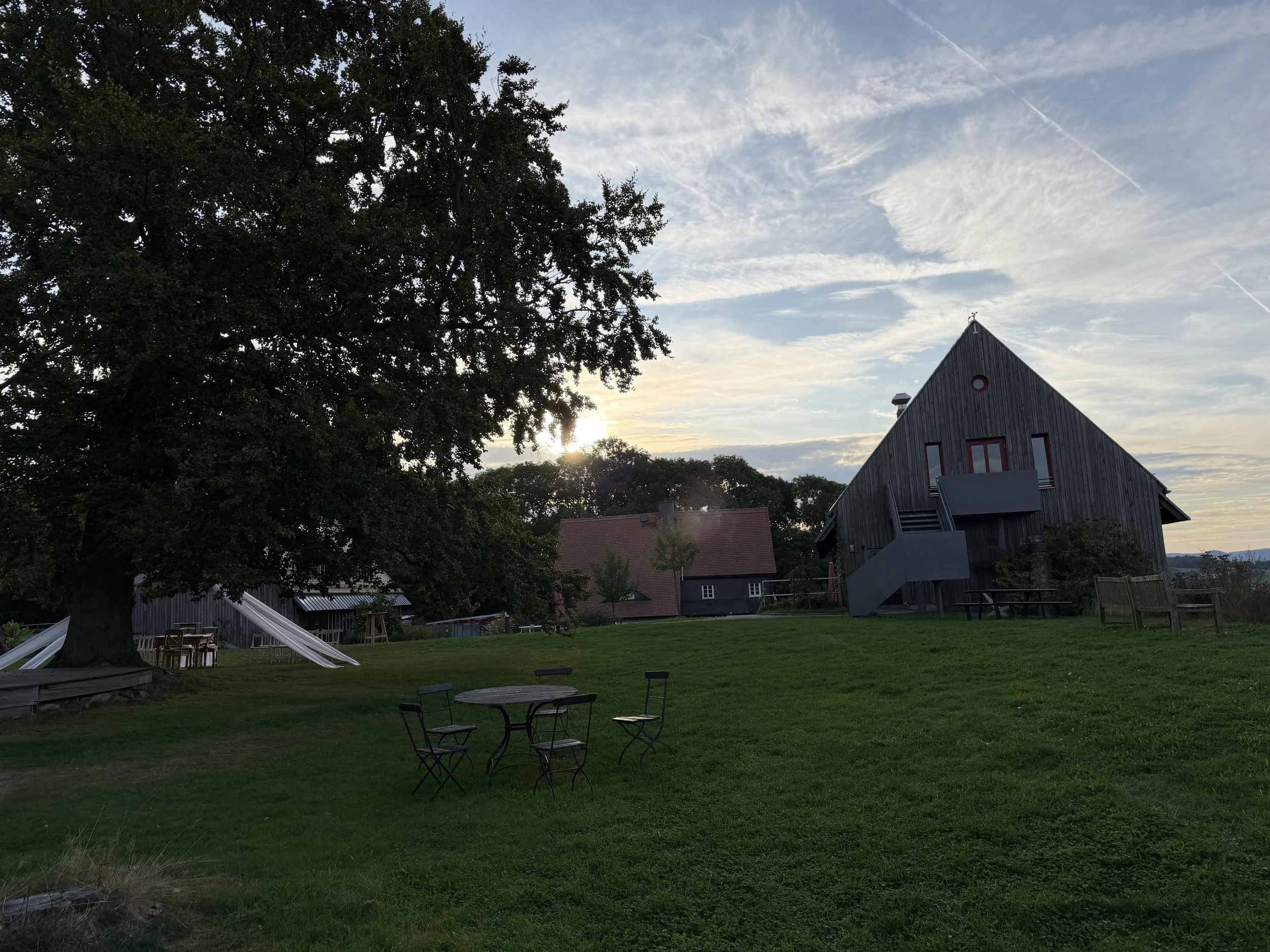 IMG_6961.jpeg