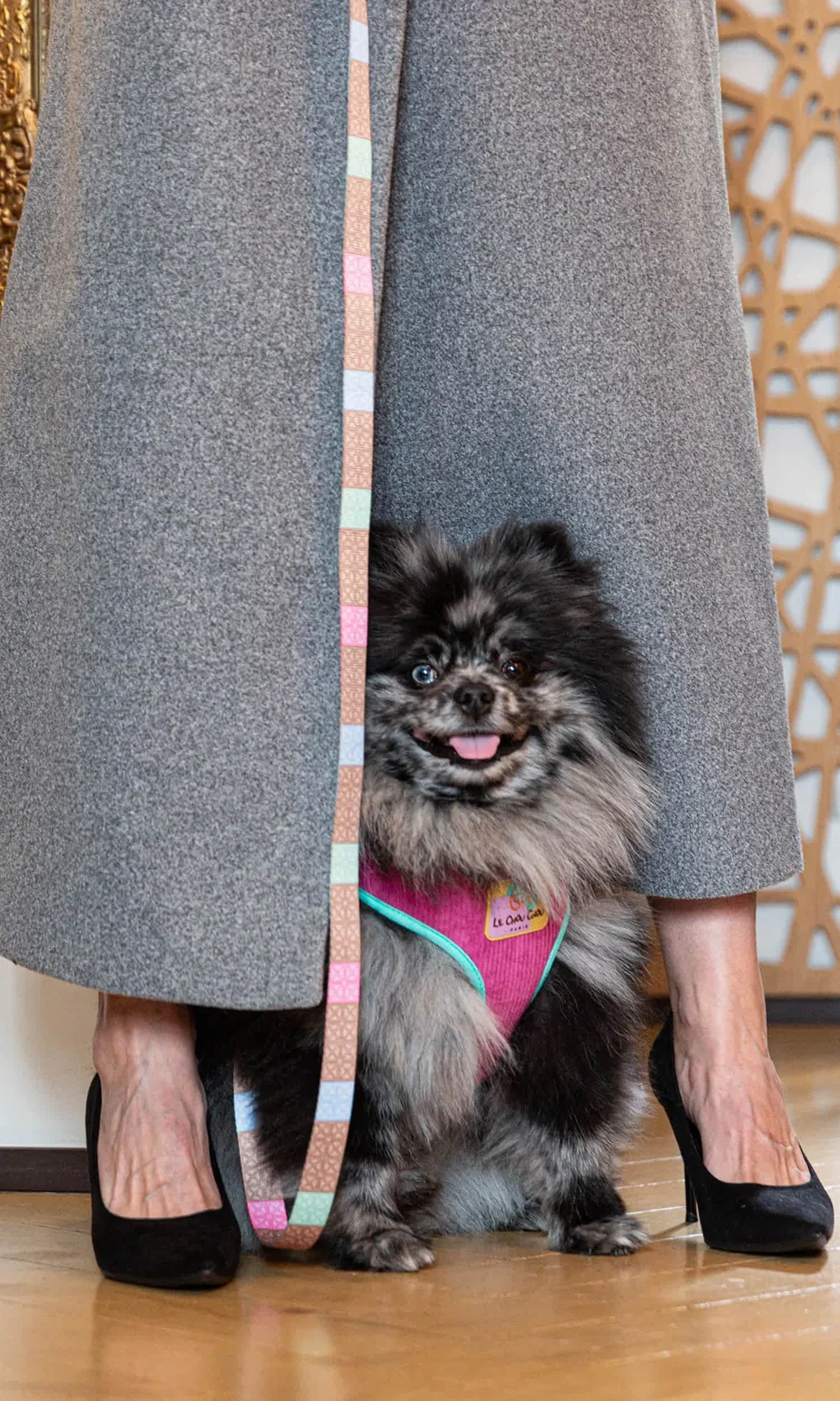 le-chouchou-paris-luxury-dog-accessories-brand