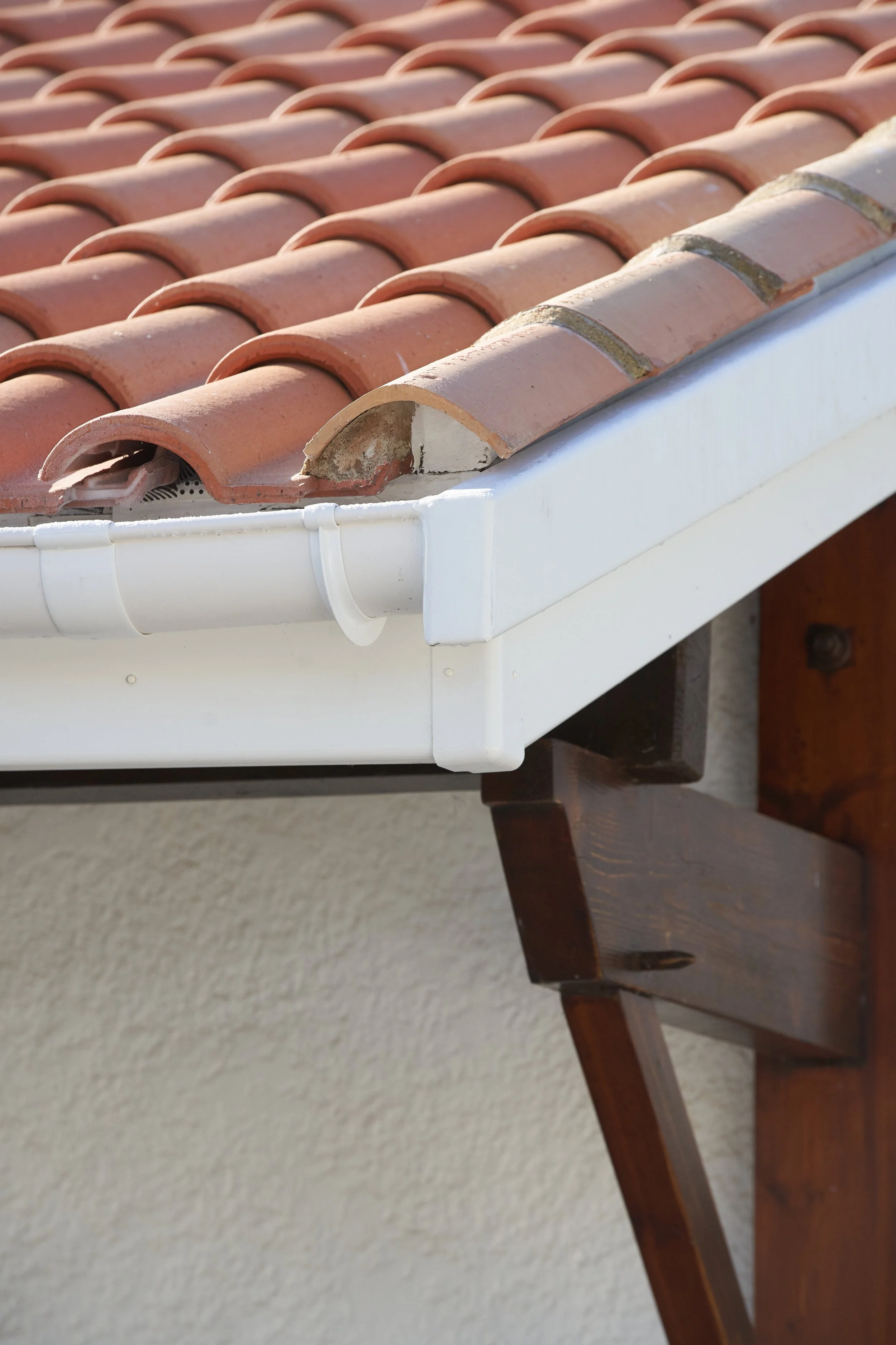 1. Démoussage efficace de toit par des experts à Royan