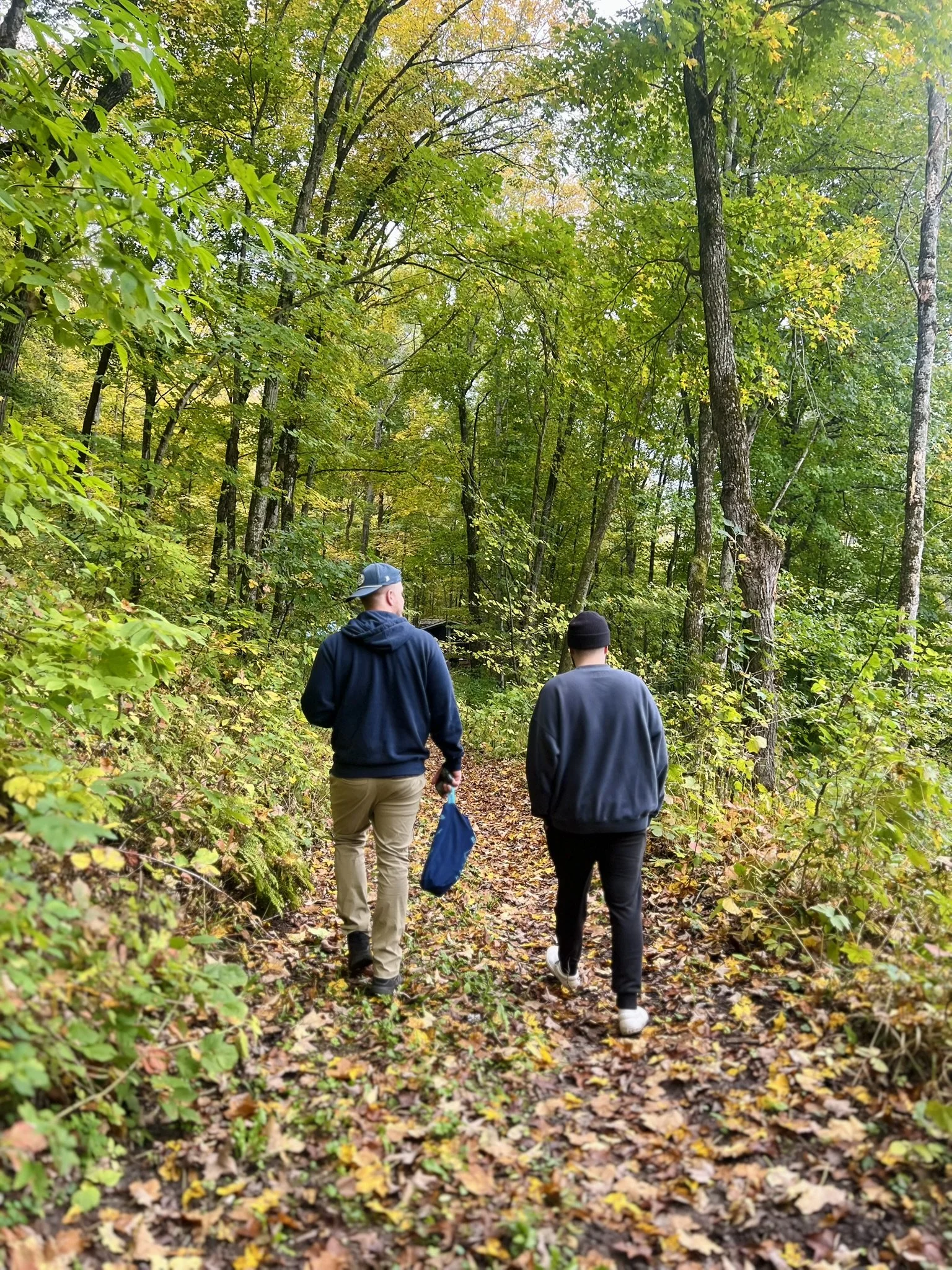 woods walk.JPEG