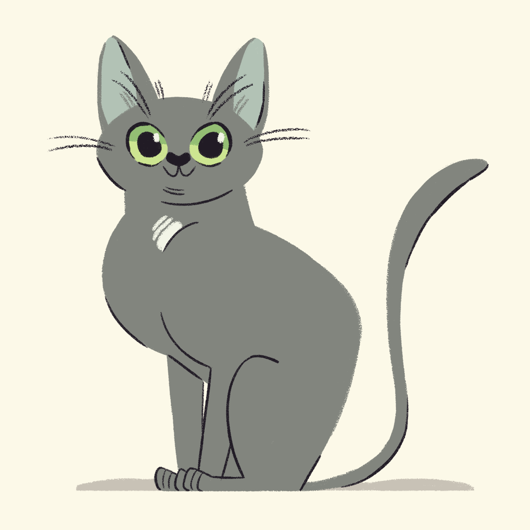 IMG_0015.png