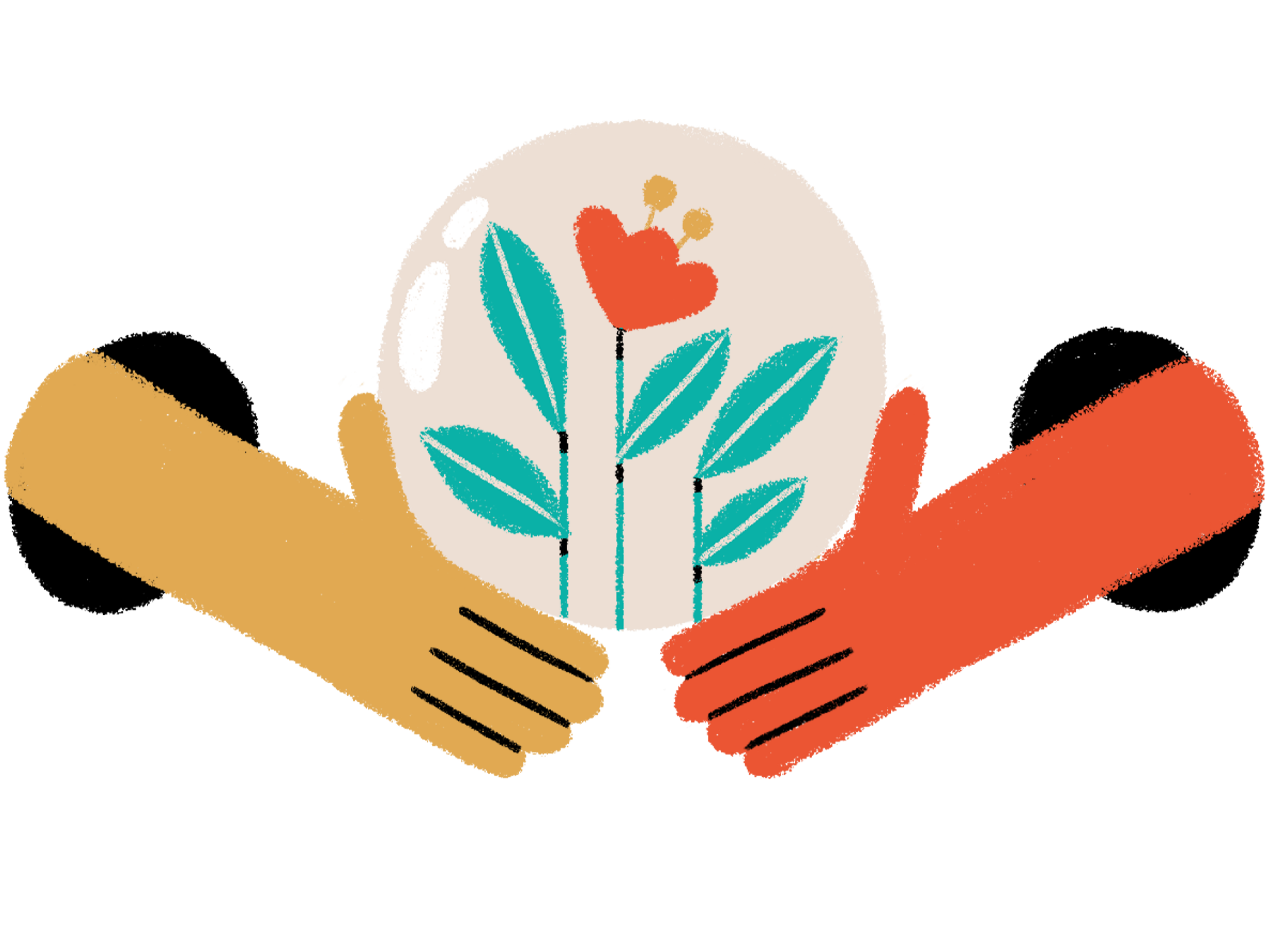 Mailchimp_Elkfox Issues 1-3-07.png