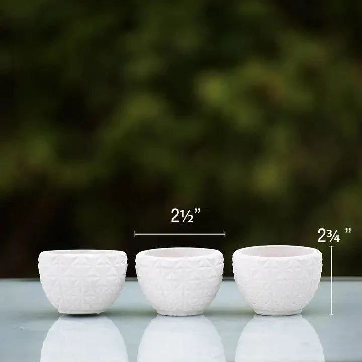 Succullent Pots Diamond Pattern