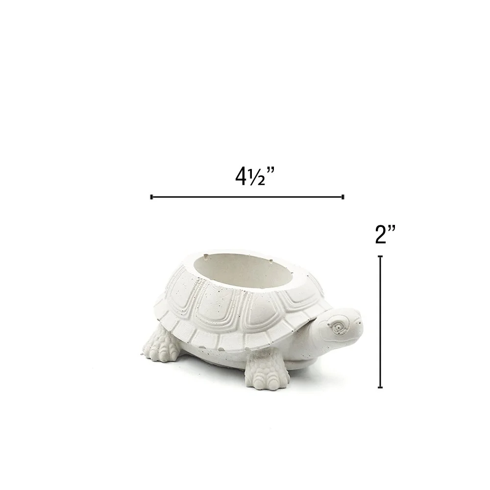 4c.jpg