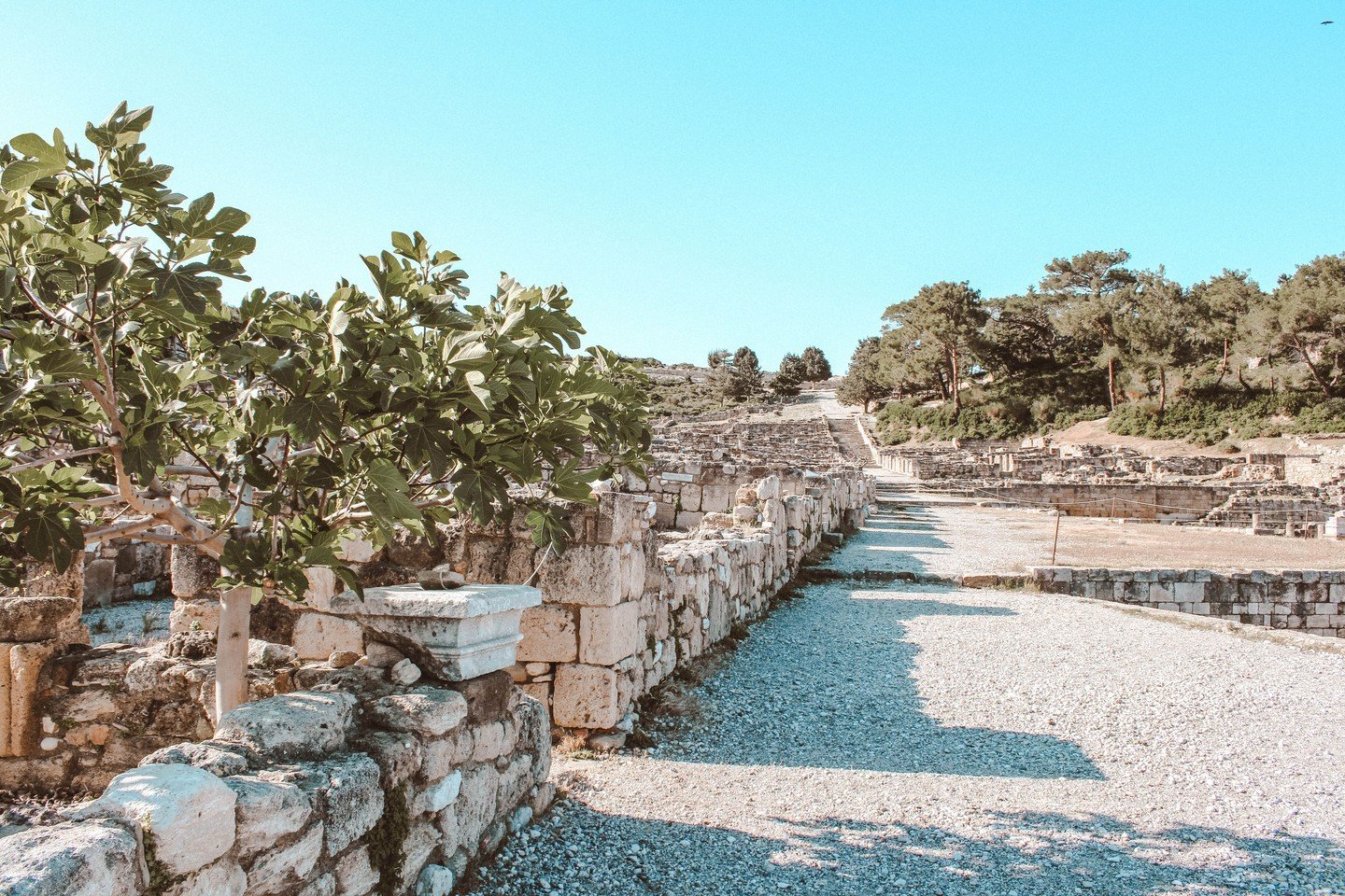 Willkommen in der alten Stadt Kamiros. Sie war neben Ialysos und Lindos eine der drei alten St&auml;dte von Rhodos und wurde durch ein Erdbeben zerst&ouml;rt. 
.
Die Stadt ist in drei Ebenen aufgeteilt: den Marktplatz, die Wohnstadt und die Akropolis