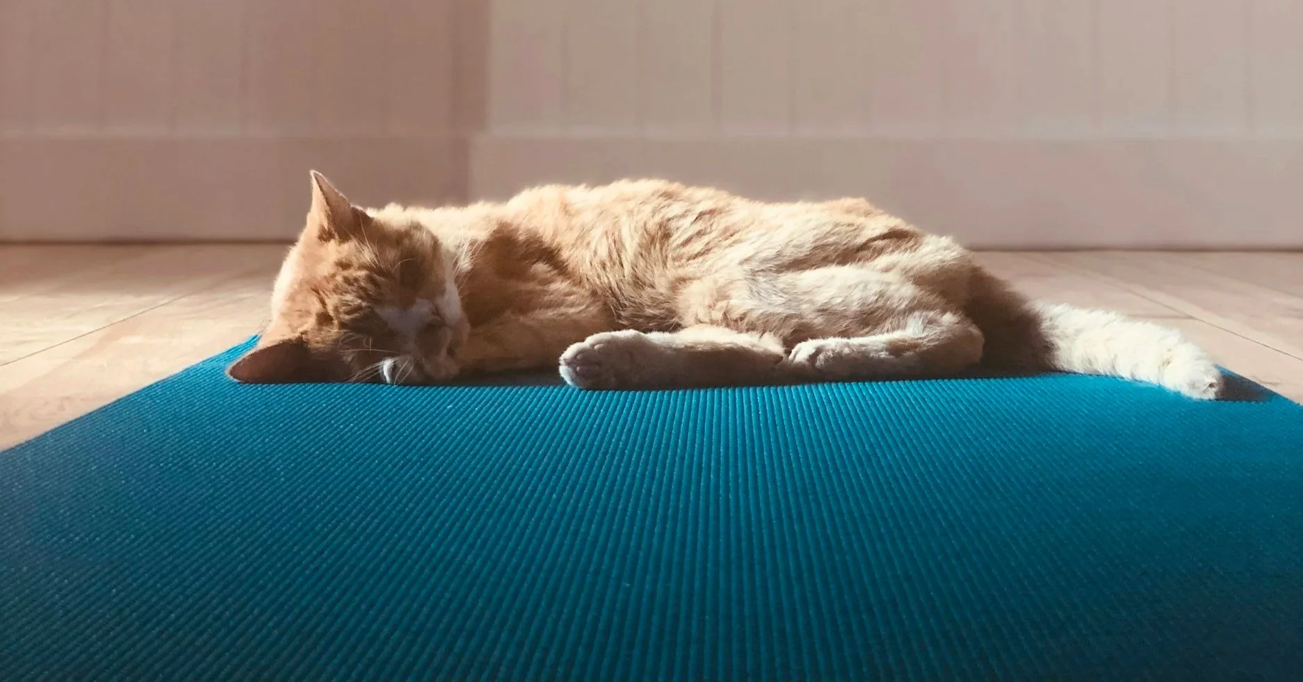 Restorative Yoga 