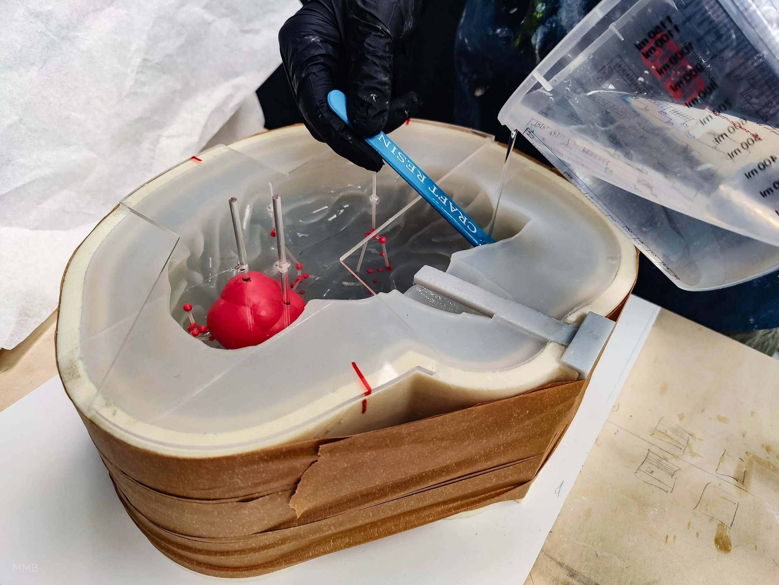Gehirntumor Modell - Exponat von Modellbau Milde Berlin für zeitraum berlin GmbH