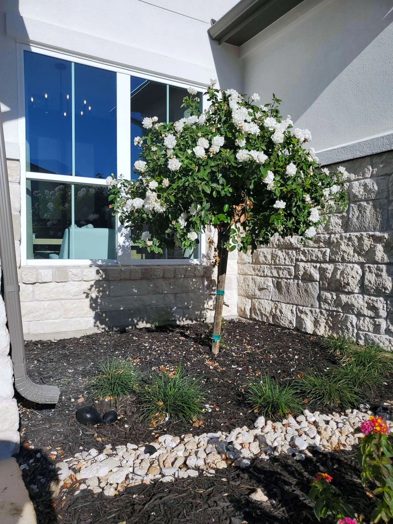 Residential - Coventry- Blackhawk Model Home-05.jpg