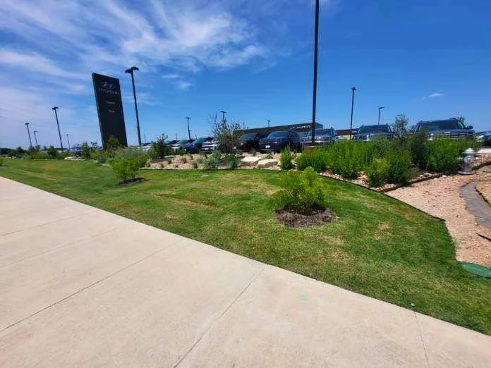 Commercial- Leander Hyundia 2.jpg