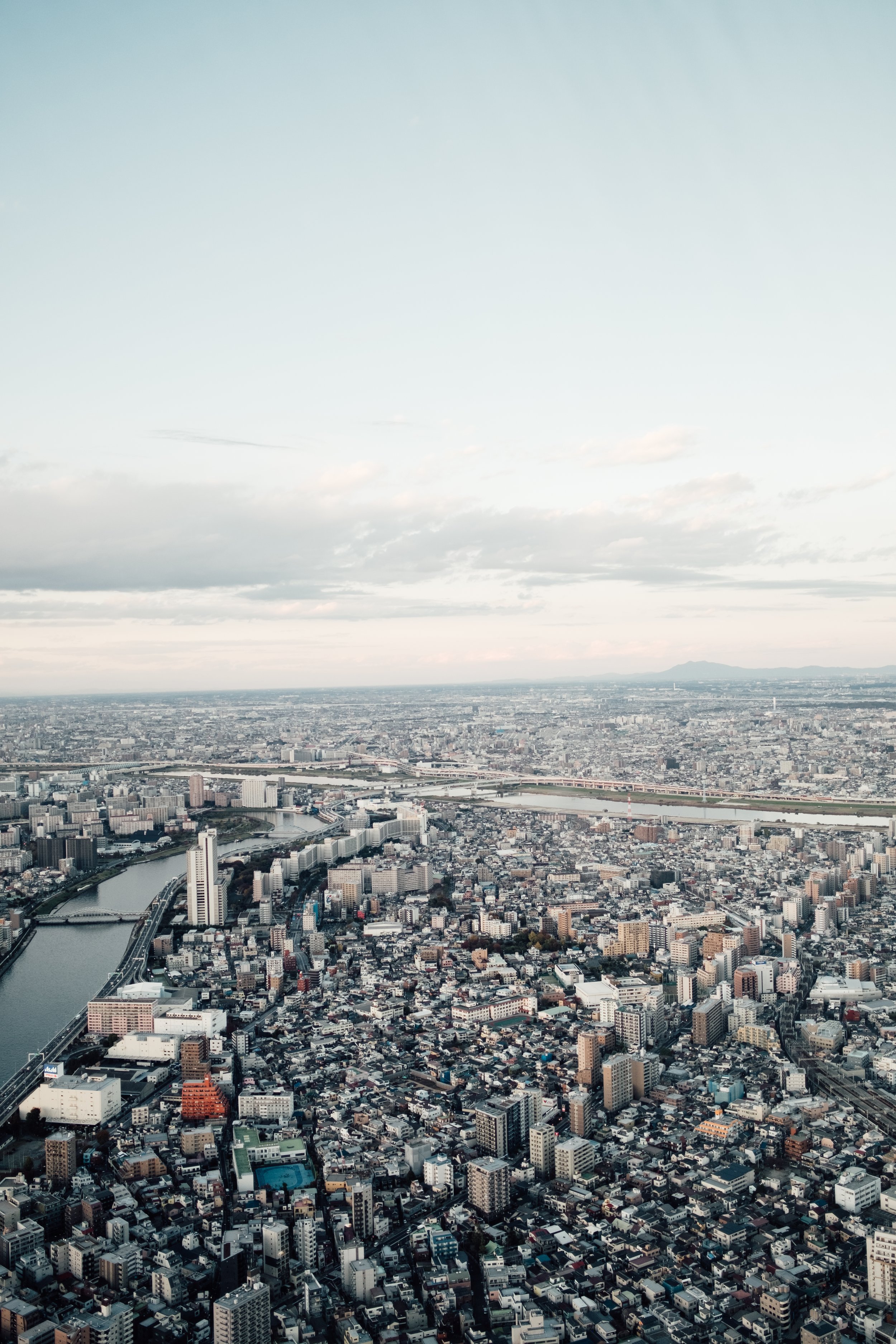 DSCF8496.jpg