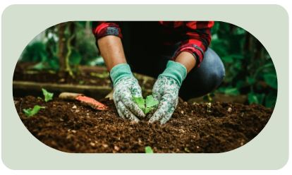 Cultivating Excellence: When 2026 Is About Depth, Not Expansion