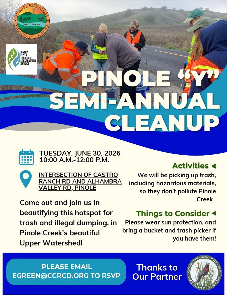 Pinole "Y" Semi-Annual Clean-up
