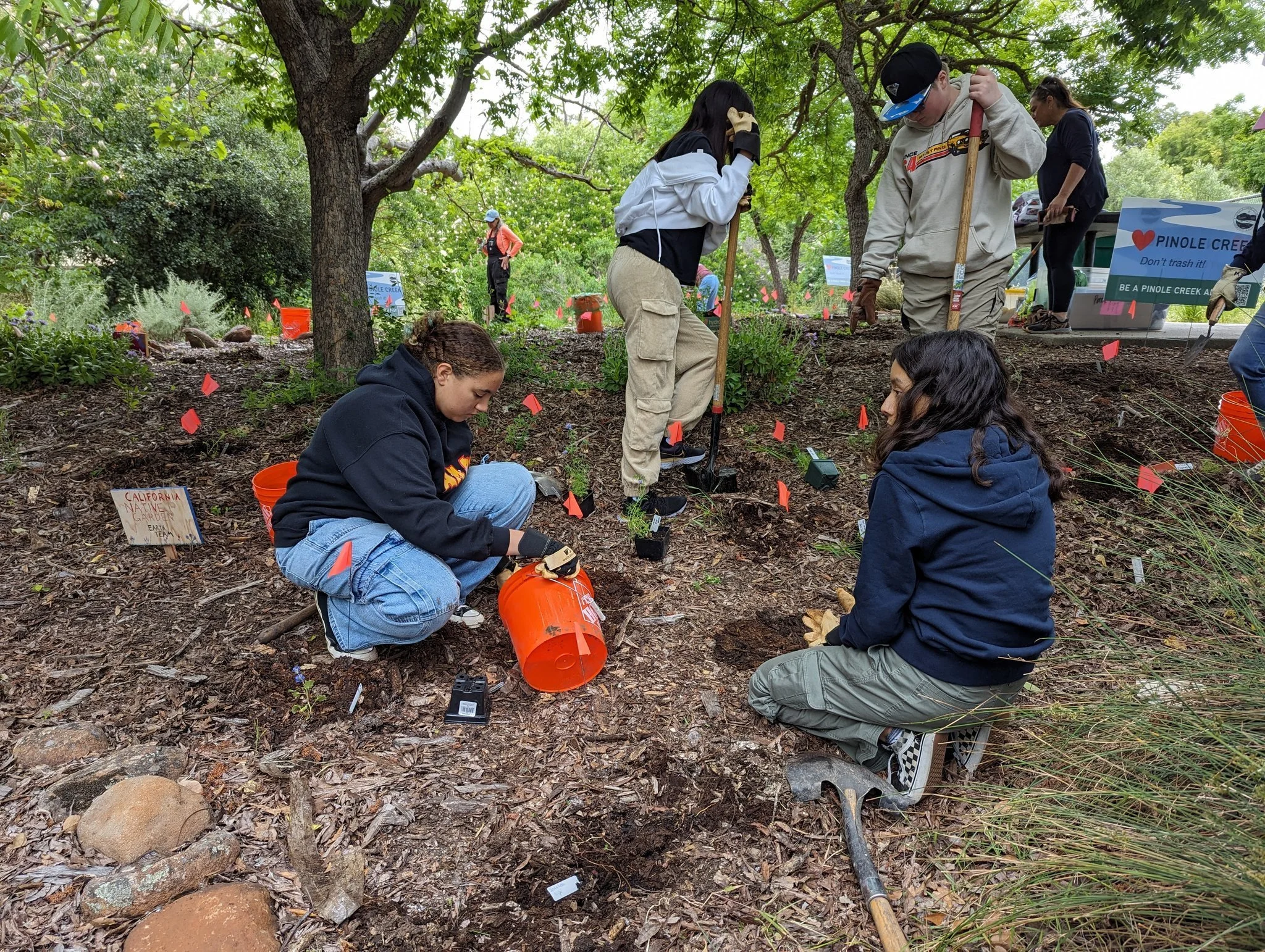 Pinole Library Native Plant Garden