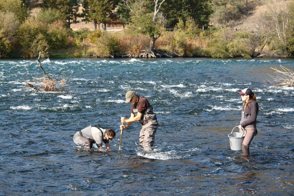 2025 Water Quality Data Hints at Improved Water Quality with Longer Period of Bottom Water Release