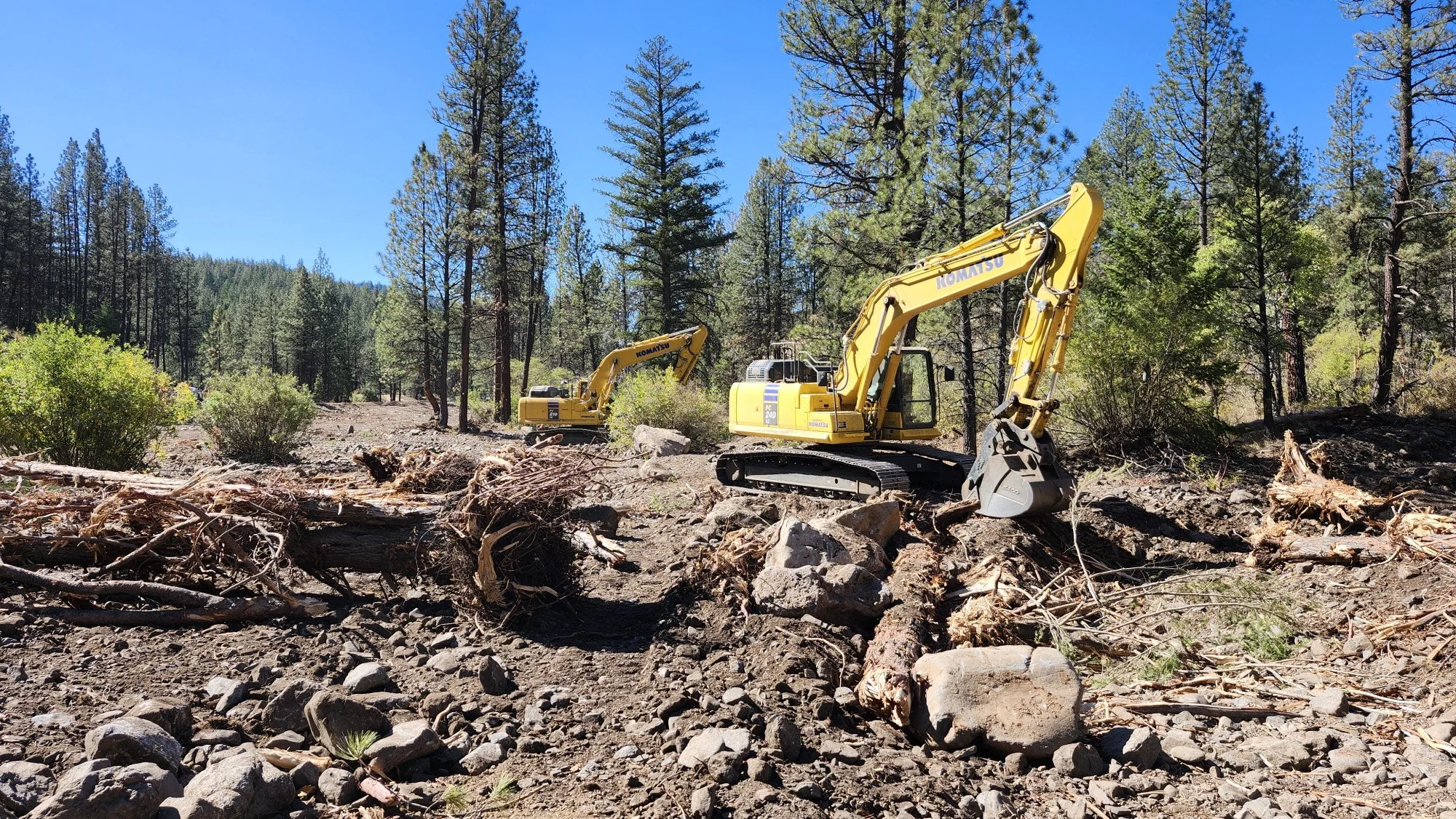 Restoring A Steelhead Sanctuary