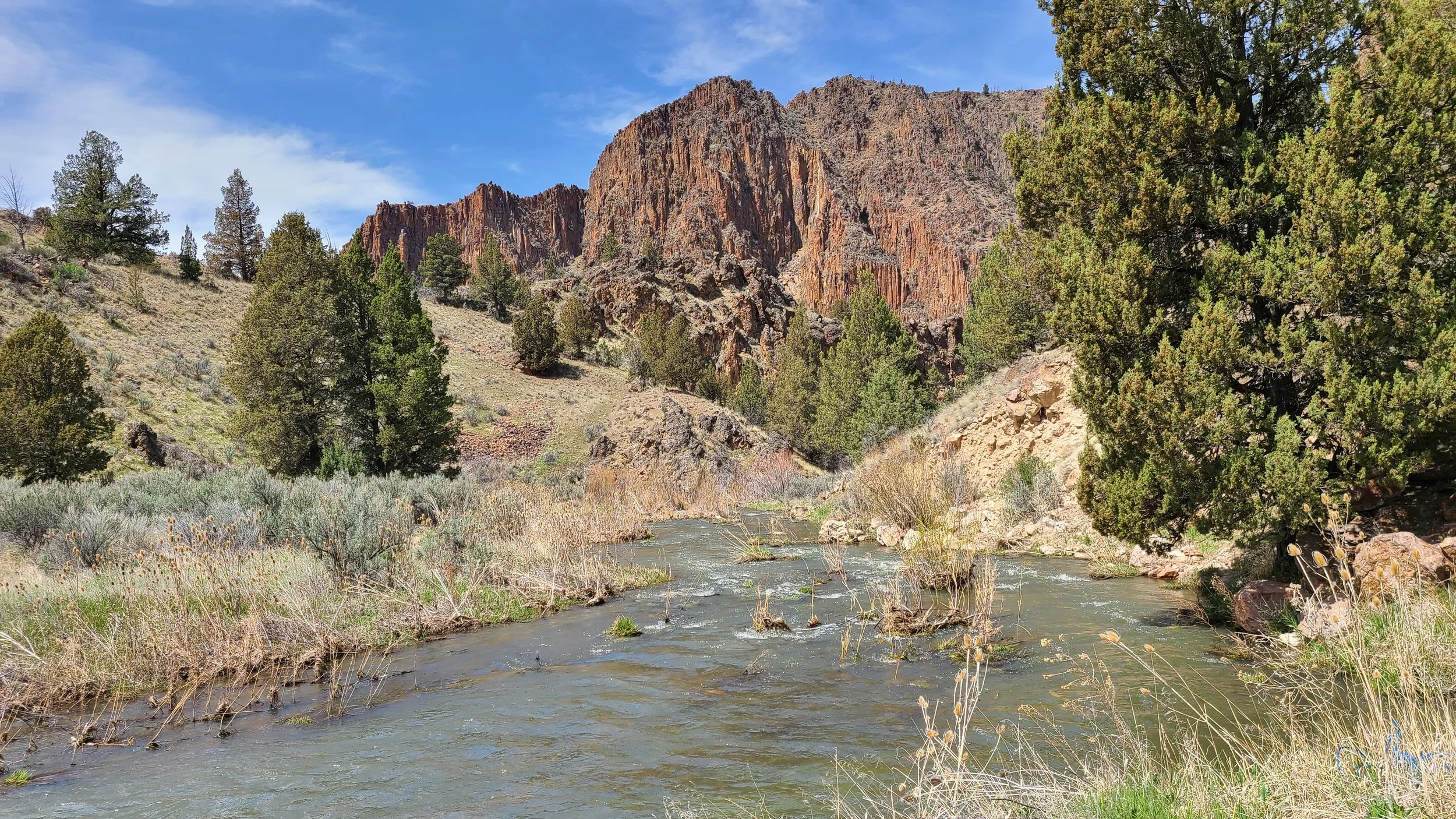 Playing the Long Game: Deschutes River Conservancy’s Good Trout Creek Work
