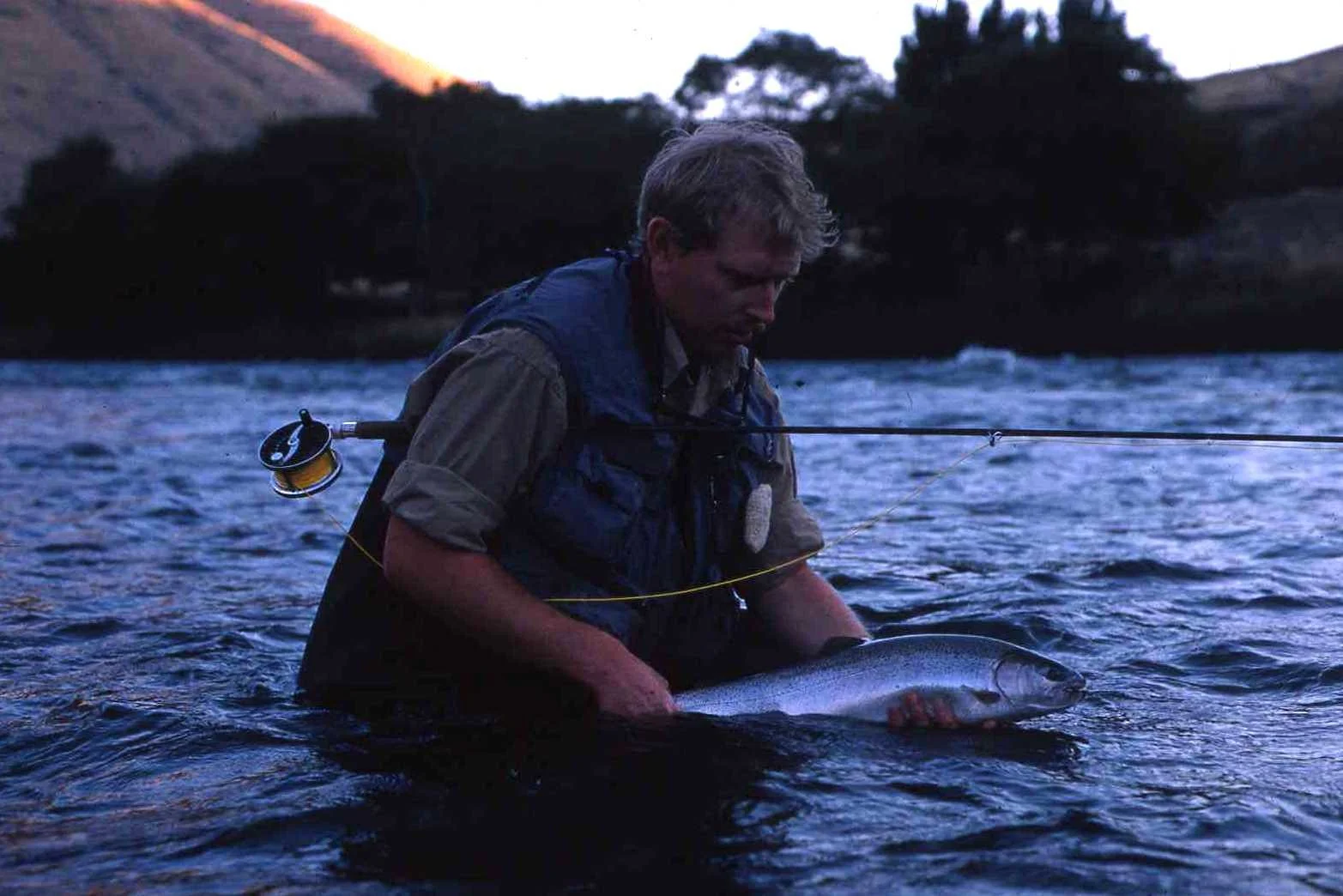 Searching for Consistency in Steelhead Regulations