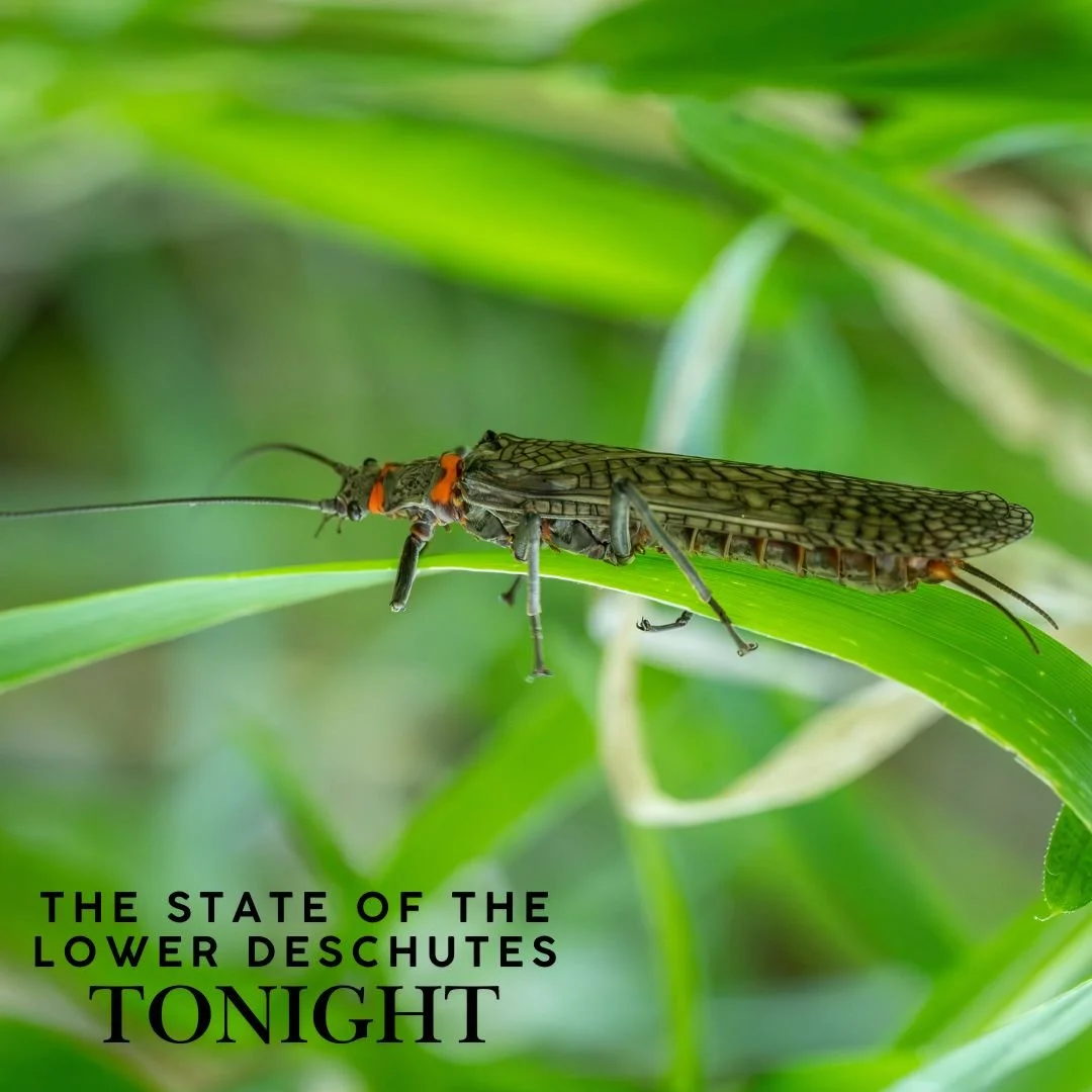 State of the Lower Deschutes Webinar