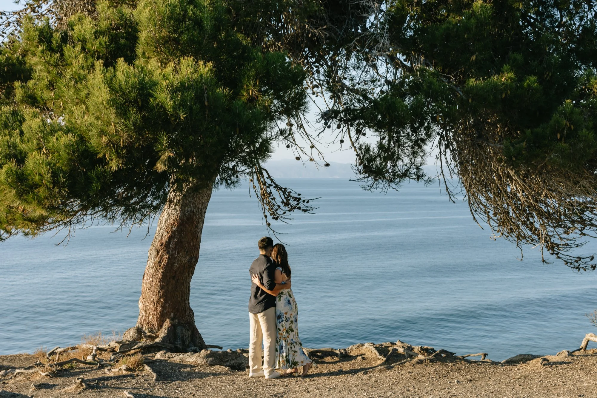 A couple embracing and kissing on a rocky beach beneath a large green tree, with the ocean and distant mountains in the background.