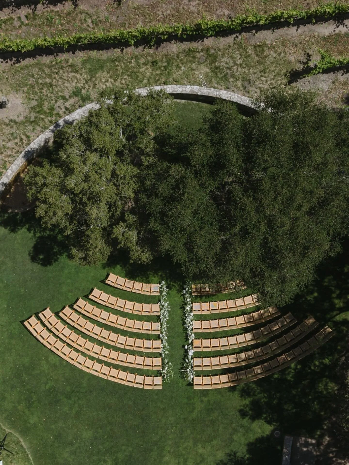 a May wedding day at Carmel Valley Ranch // a glimpse into K+B&rsquo;s magical wedding weekend featuring dancing, disco balls &amp; the ranch&rsquo;s resident donkeys, Pablo &amp; Paco 🤎

Bride: @kris.spence 
Groom: @bgreenspan429 
Wedding Planner: 