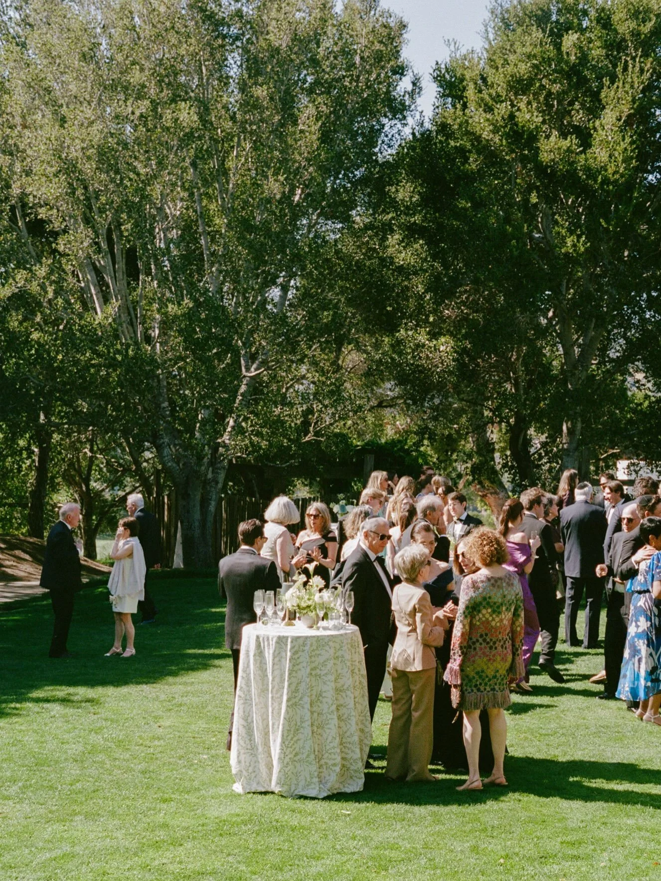 Cocktail hour at the Ranch with Paco &amp; Pablo on (mostly) film 

Wedding Planner: &nbsp;@corkandvows 
Venue: @carmelvranch 
Florals: &nbsp;@loveandflowersbyangie 
Photographer: &nbsp;@francescamariaphoto 
Content Creator for Wedding: @contentbykam