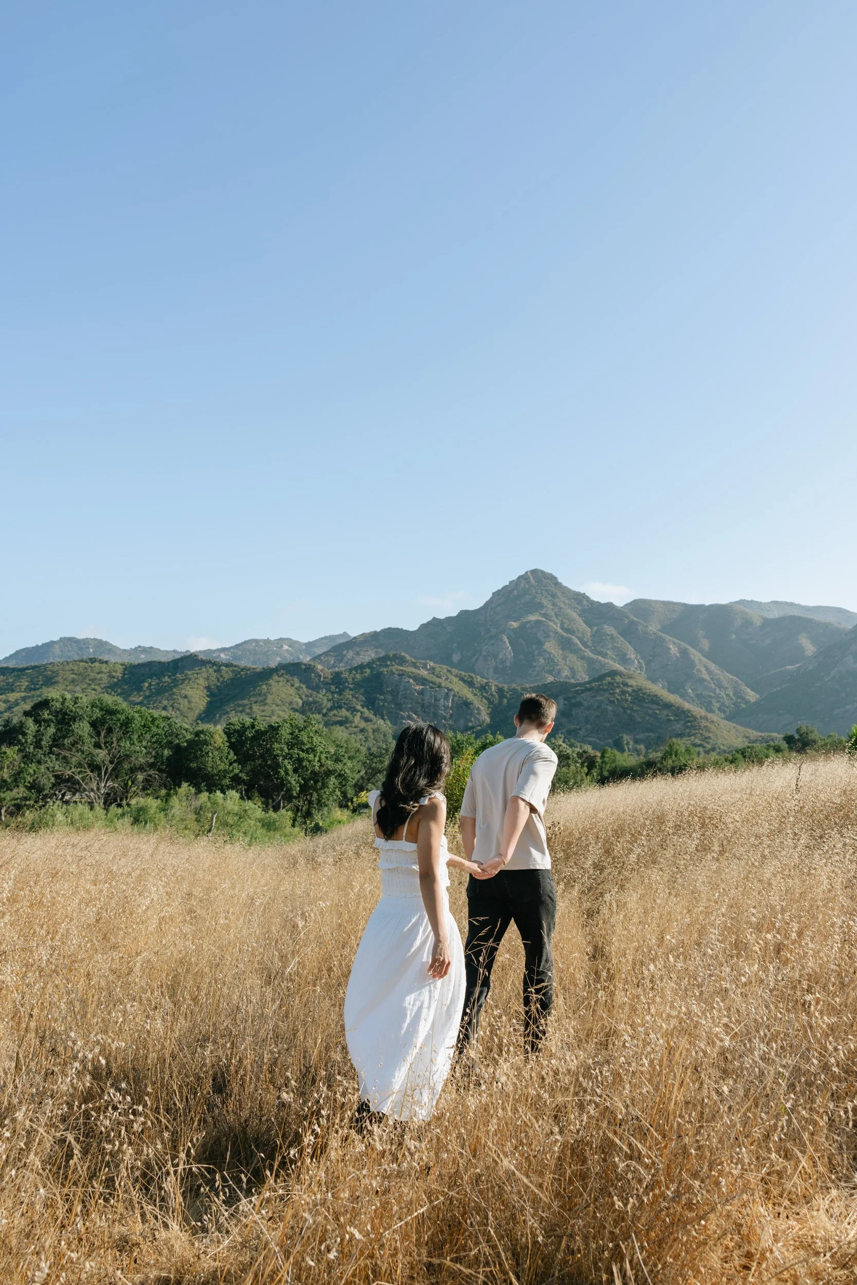 A couple walking hand in hand through a field of tall, golden grass with green trees and mountains in the background under a clear blue sky.