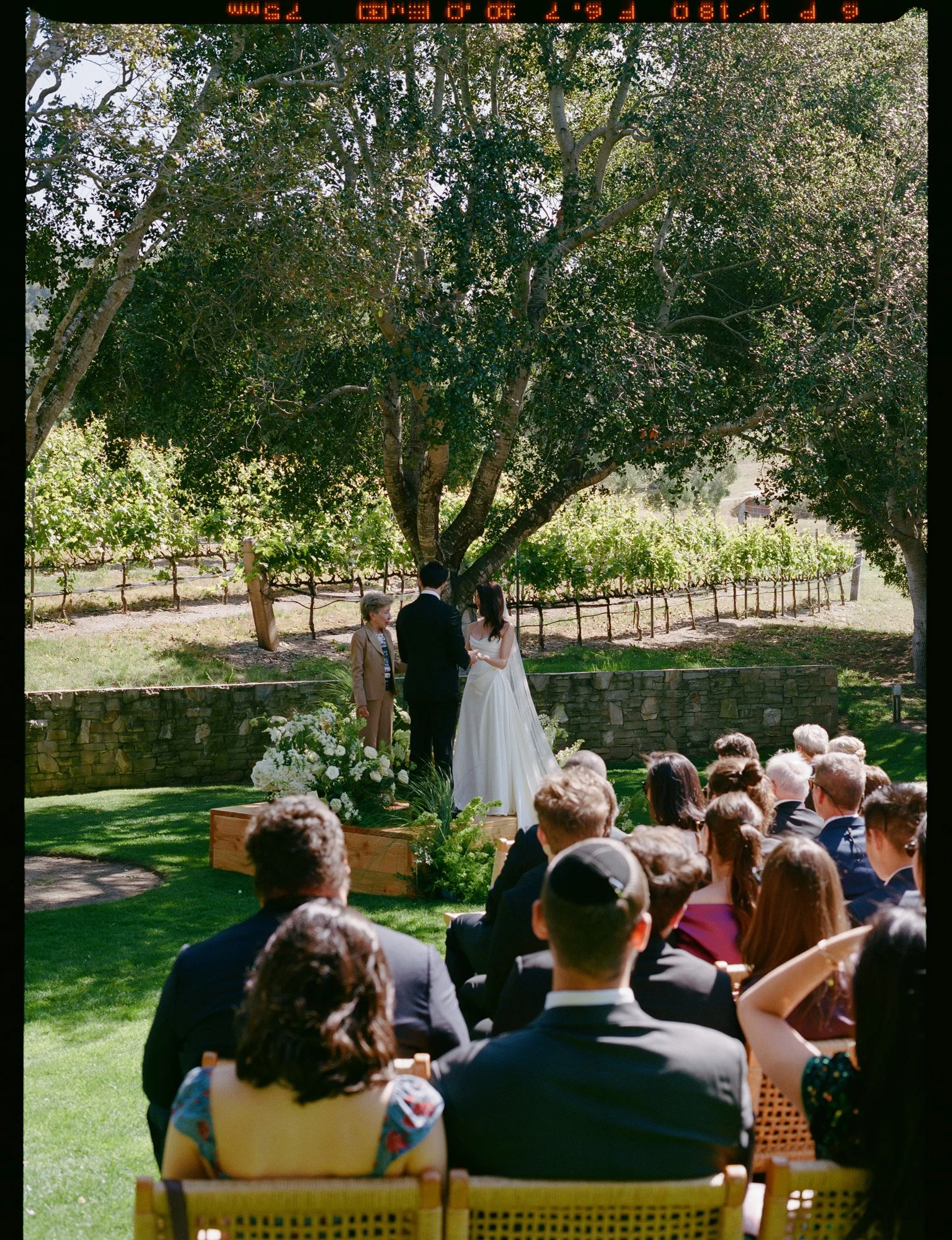 Outdoor wedding ceremony beneath olive trees photographed by a California documentary wedding photographer at the Carmel Valley Ranch