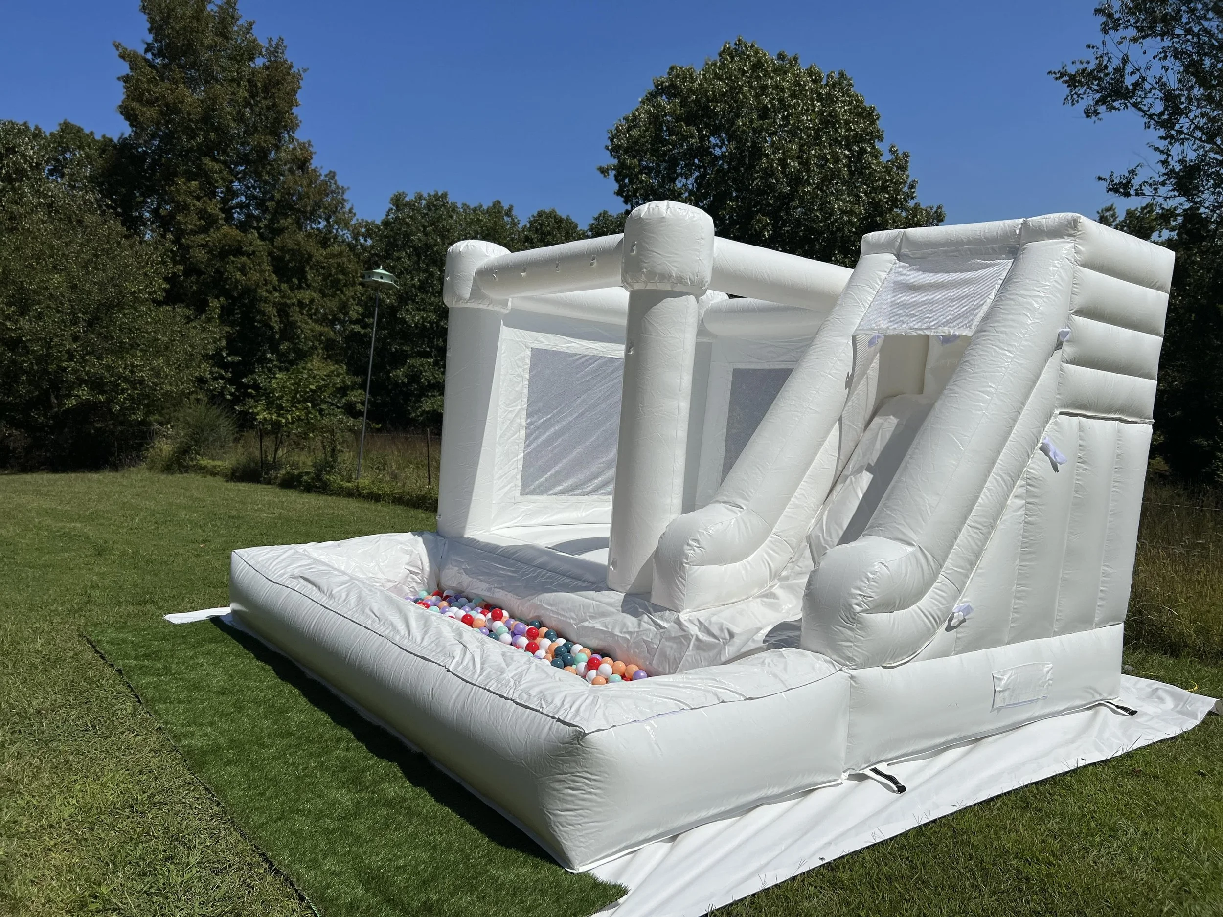 Ms. Palla P: Wedding