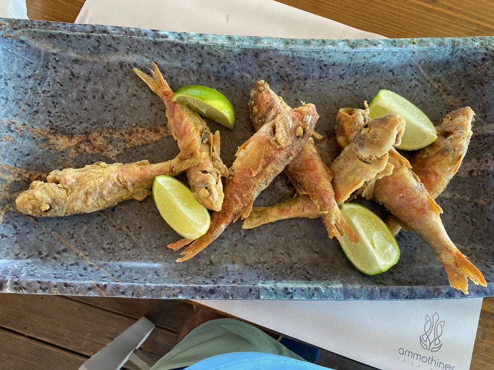 Red mullets at Ammothines 