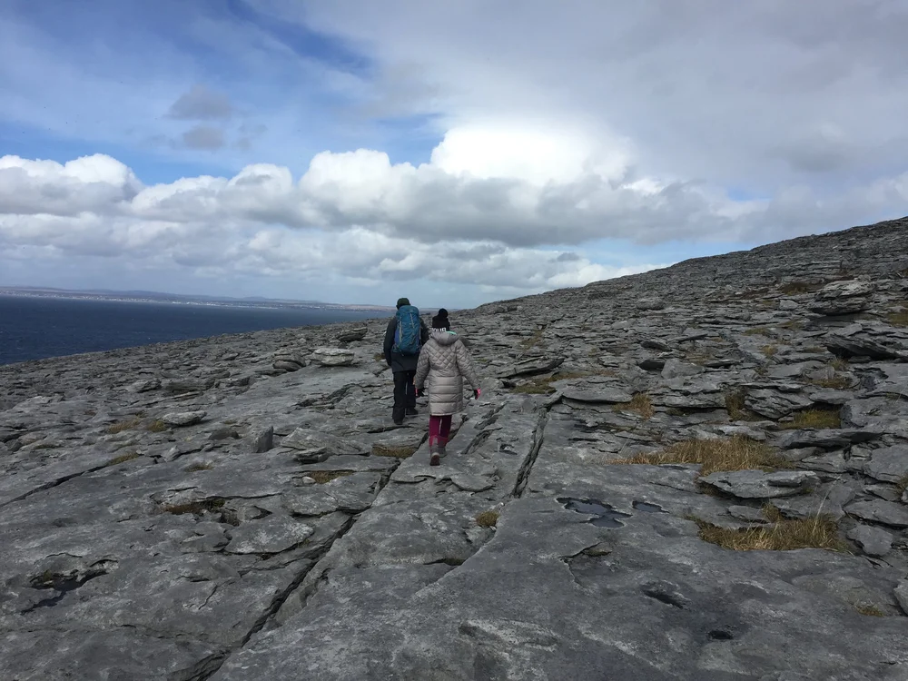 Bare Burren stones 