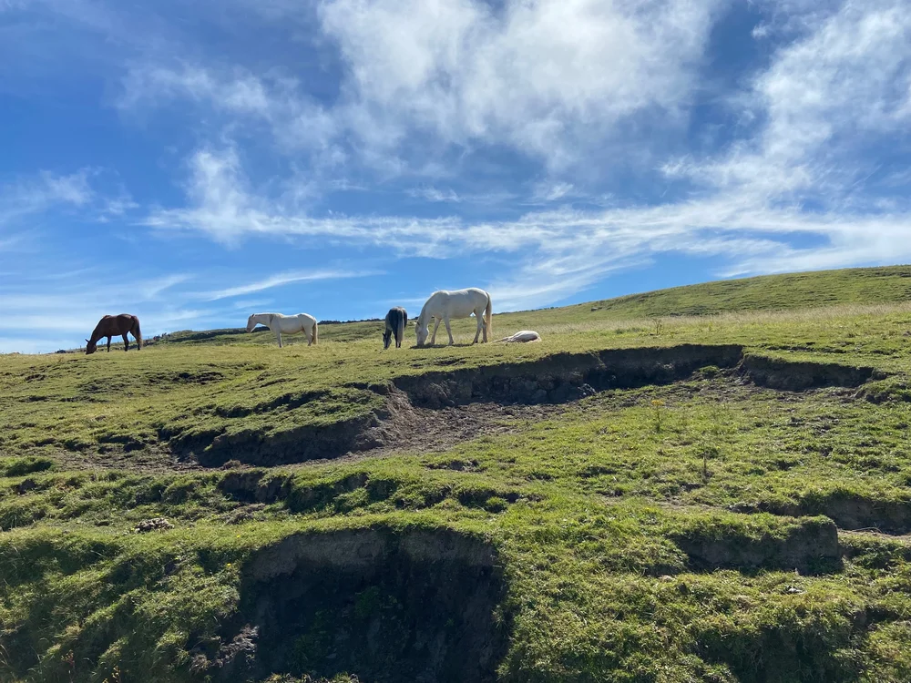On a hike from the Cliffs to Doolin 