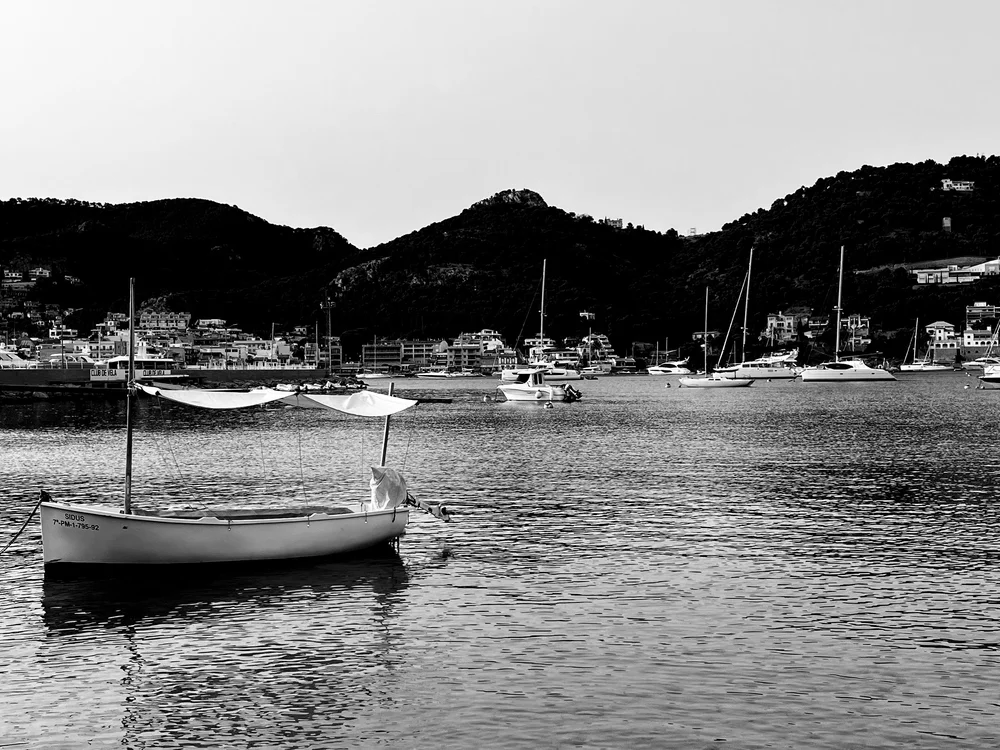 Morning in the harbor